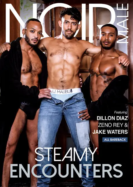 Steamy Encounters 1
