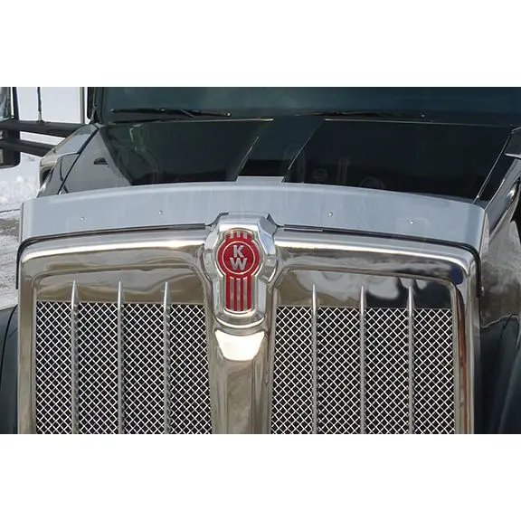 #10045201 Panelite (Bug Shield) W990 Kenworth 1