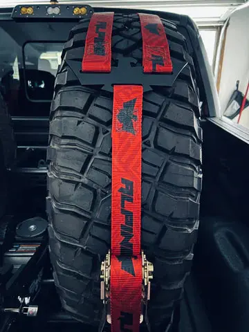 Apline Double Eagle Straps 1