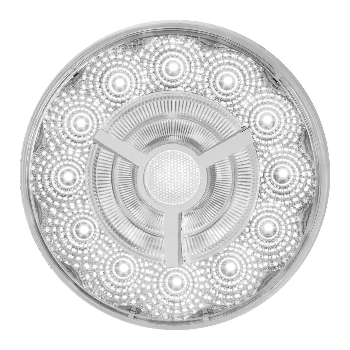 4" Prime Spyder White/Clear 17 Led Sealed Light 1
