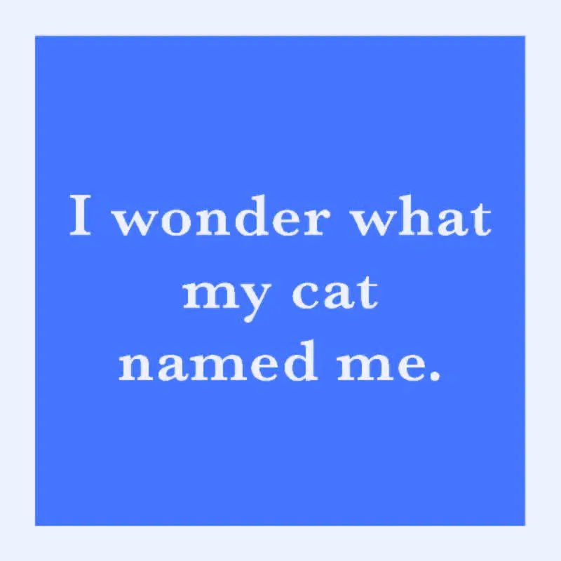Coaster: Cat Named Me 1