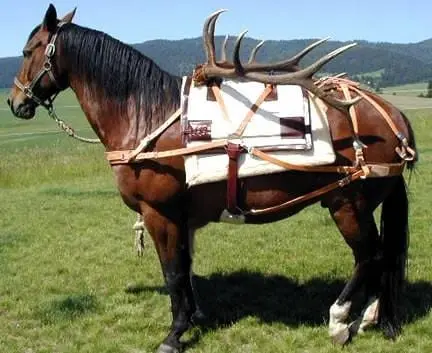 Bighorn Decker Pack Saddle 1