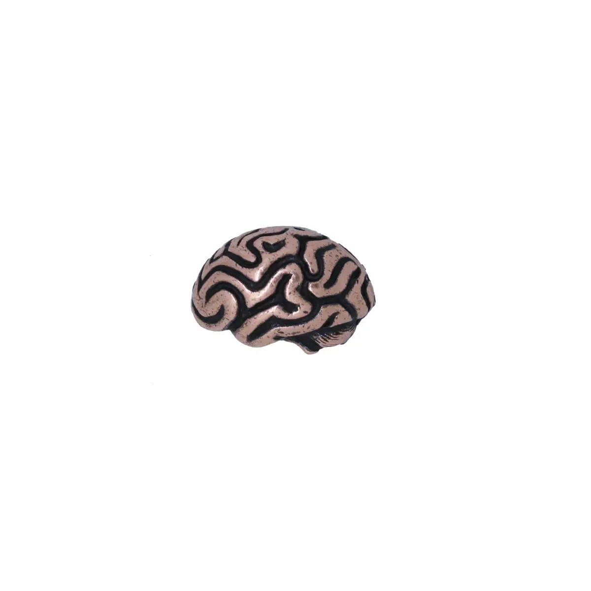 Brain Copper Lapel Pin 1