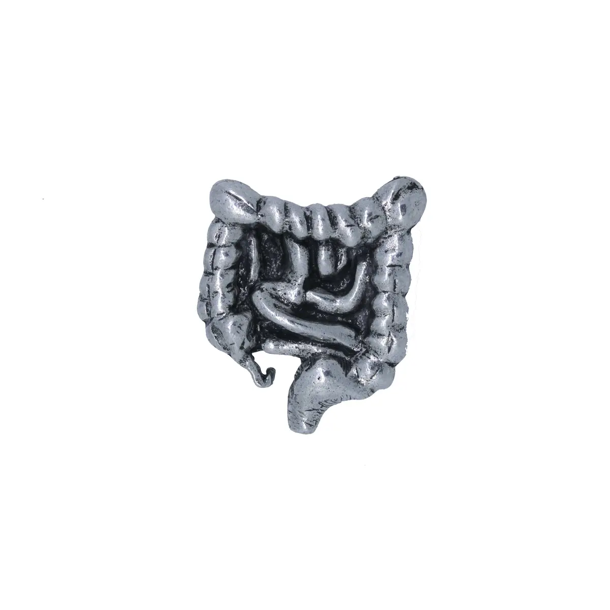 Intestines Lapel Pin 1