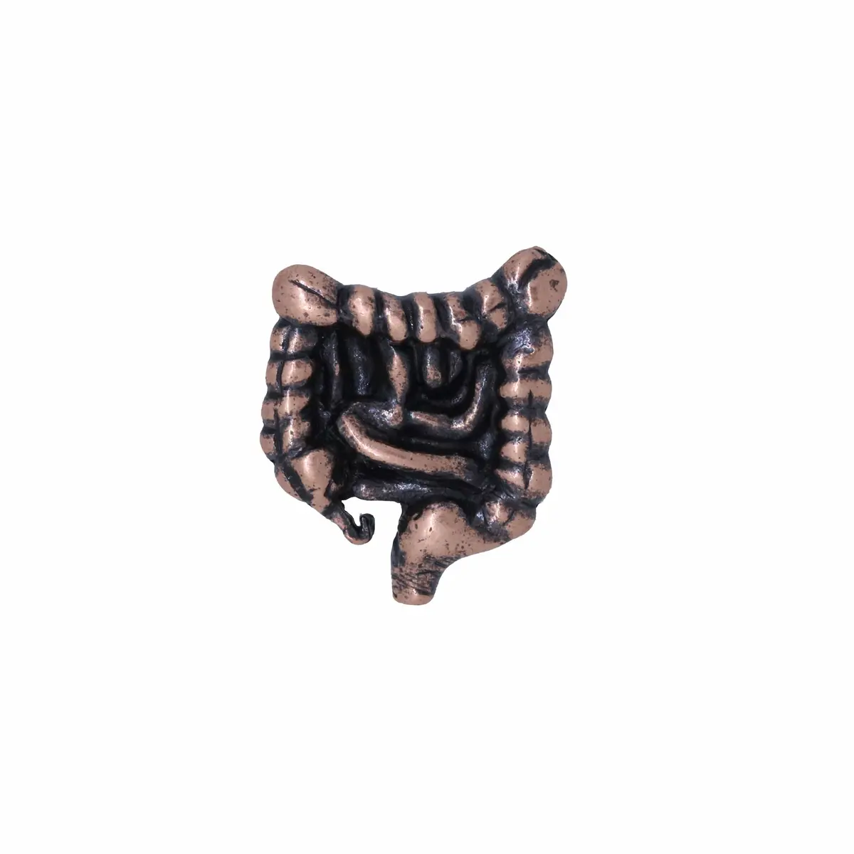 Intestines Copper Lapel Pin 1