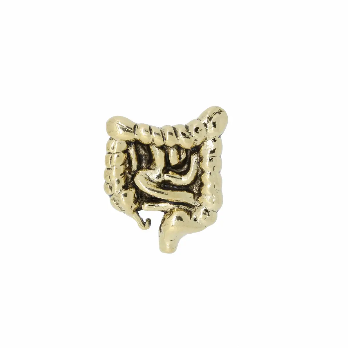 Intestines Gold Lapel Pin 1