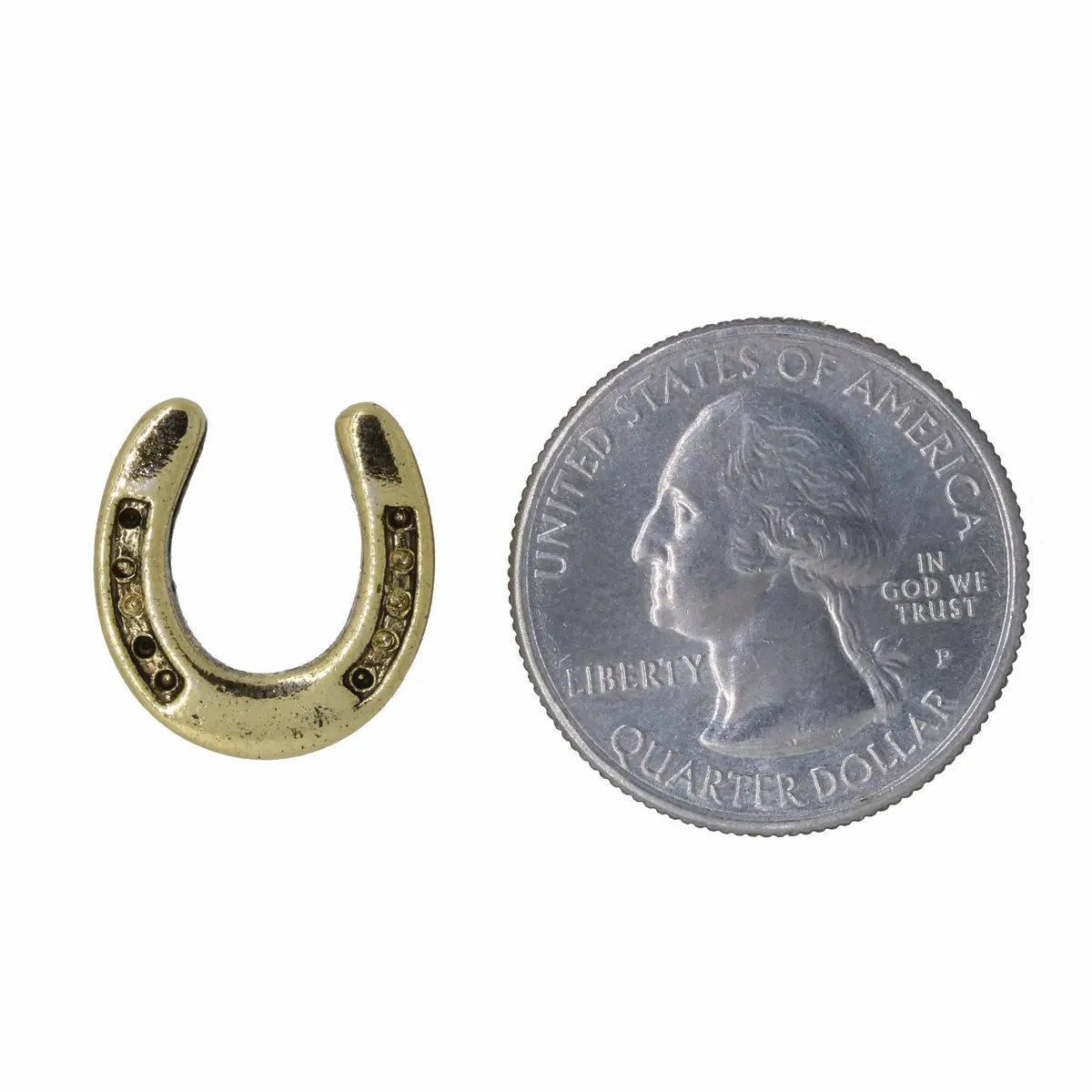 Horseshoe Gold Lapel Pin 2