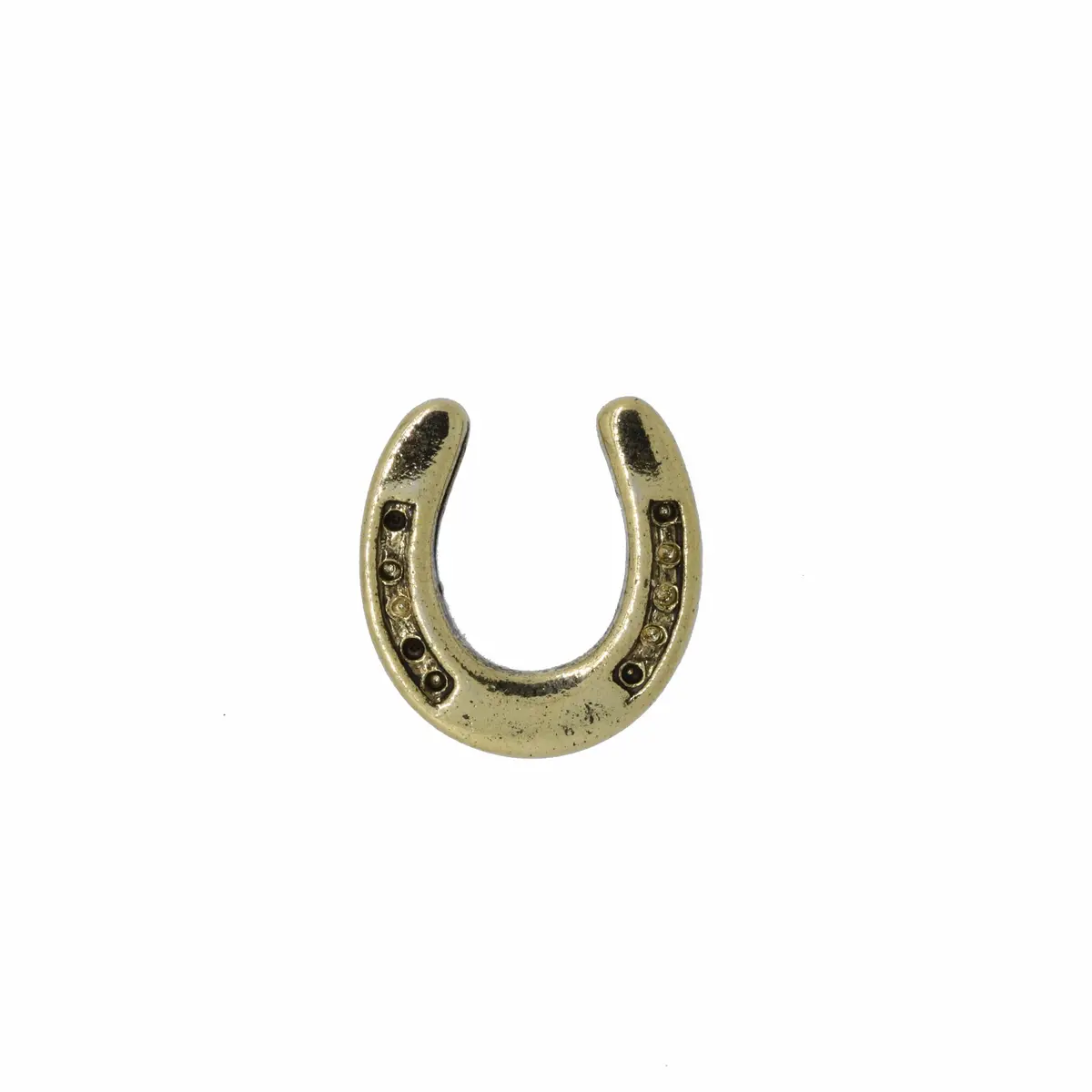 Horseshoe Gold Lapel Pin 1