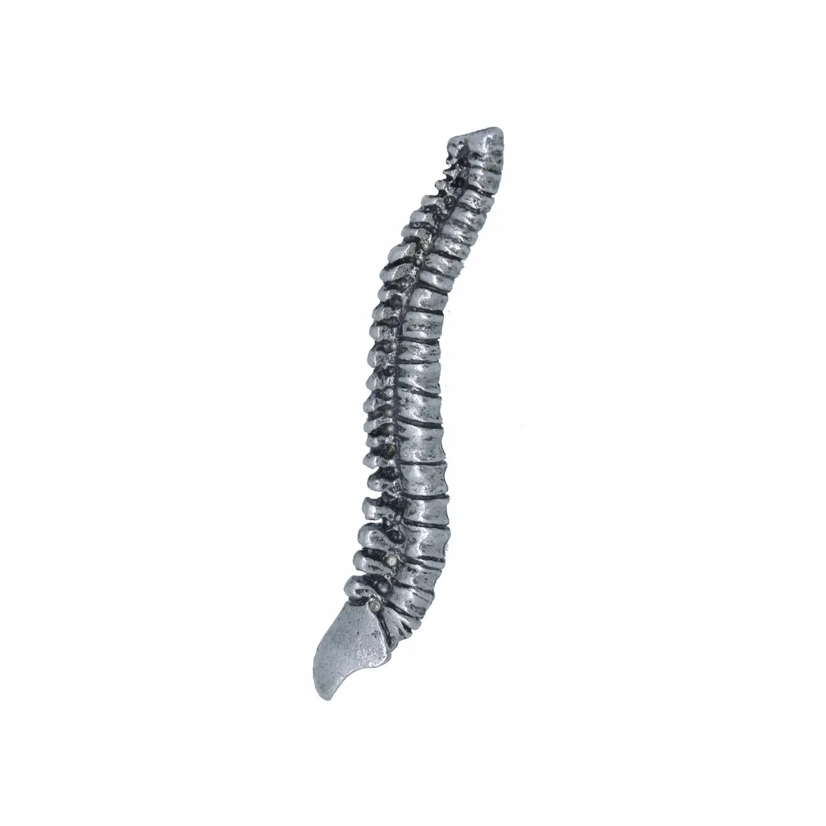 Spine Lapel Pin 1