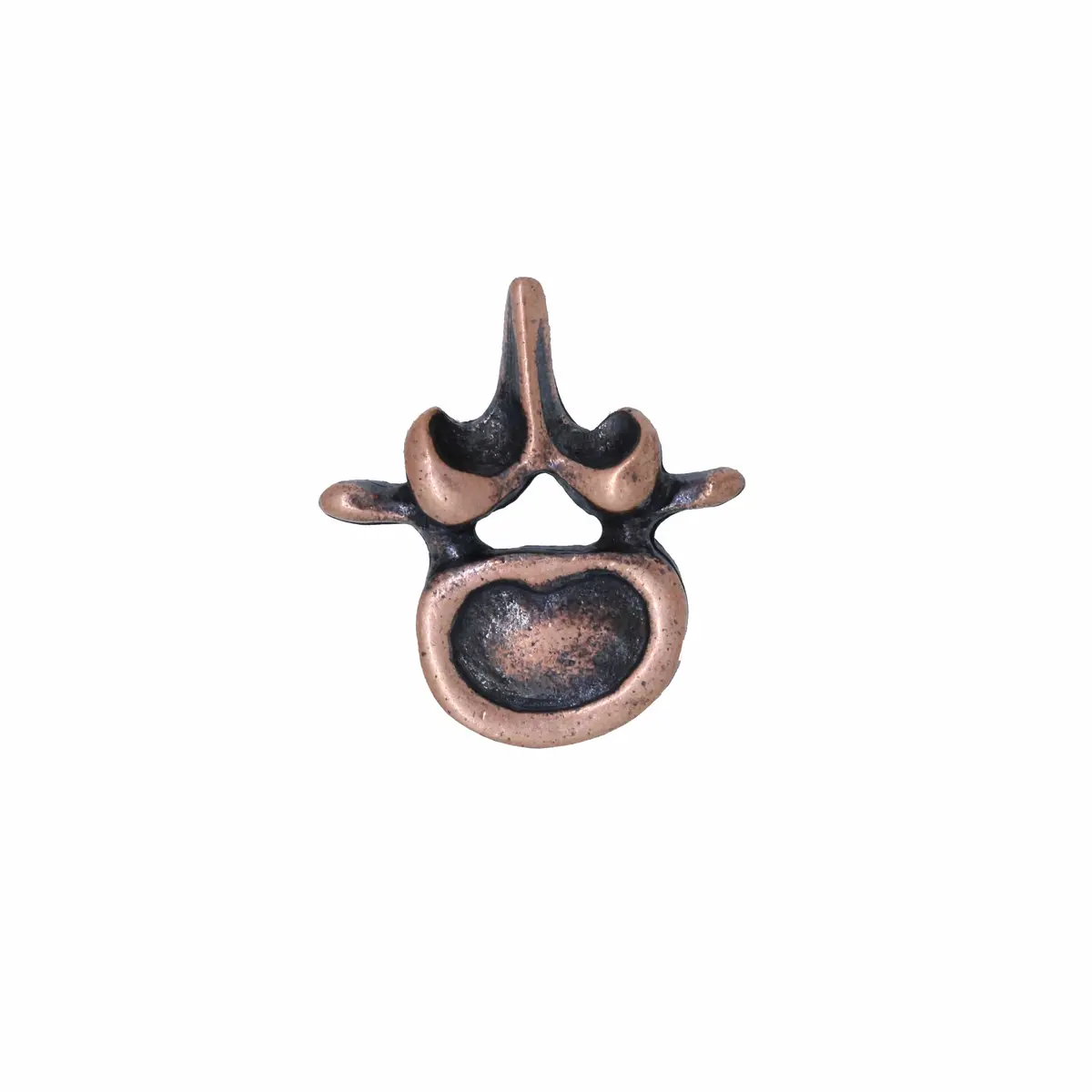 Vertebra Copper Lapel Pin 1