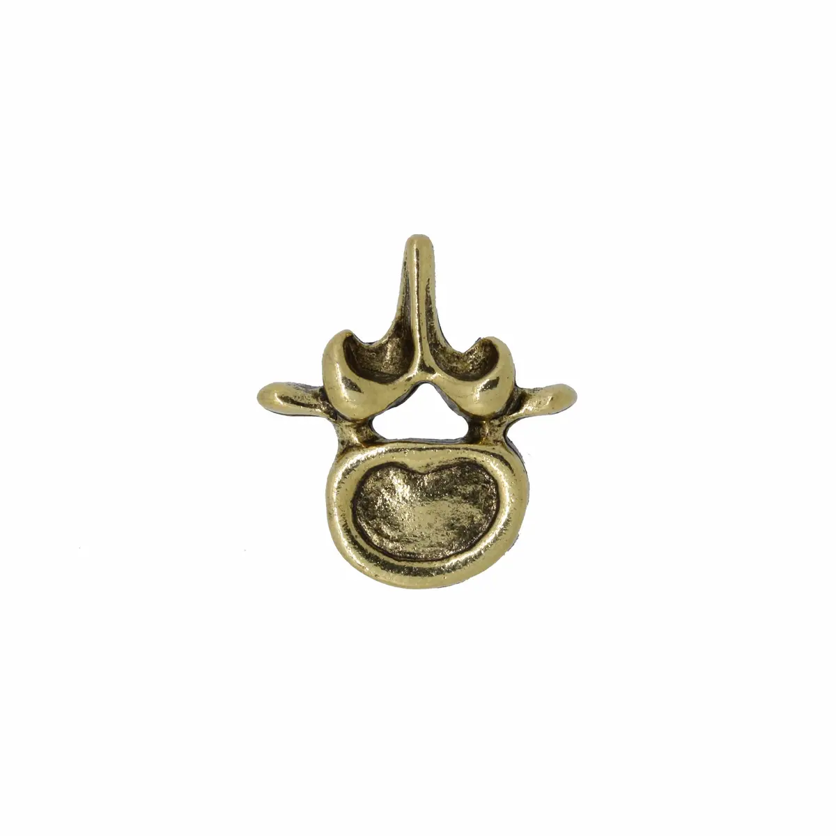 Vertebra Gold Lapel Pin 1