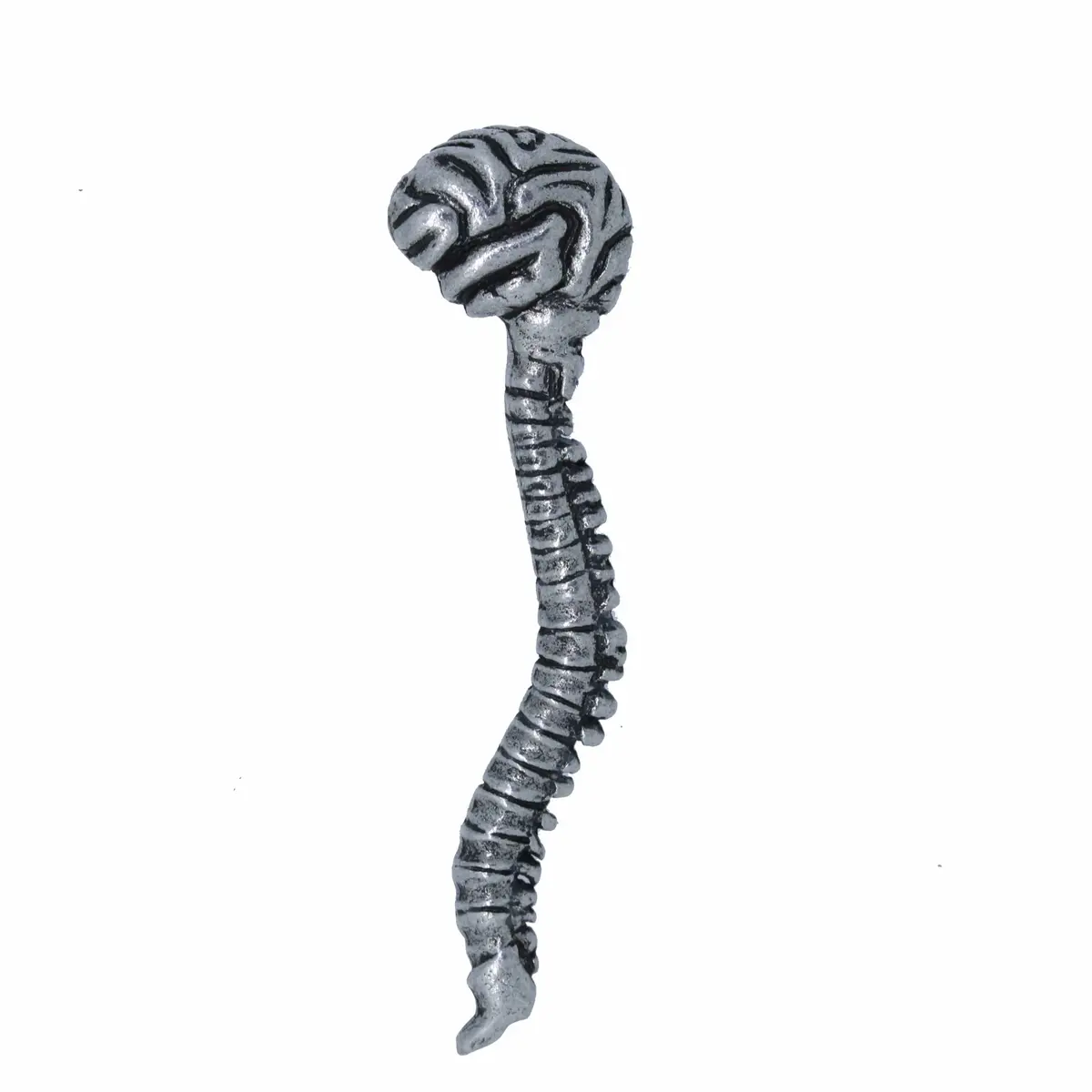Brain And Spine Lapel Pin 1
