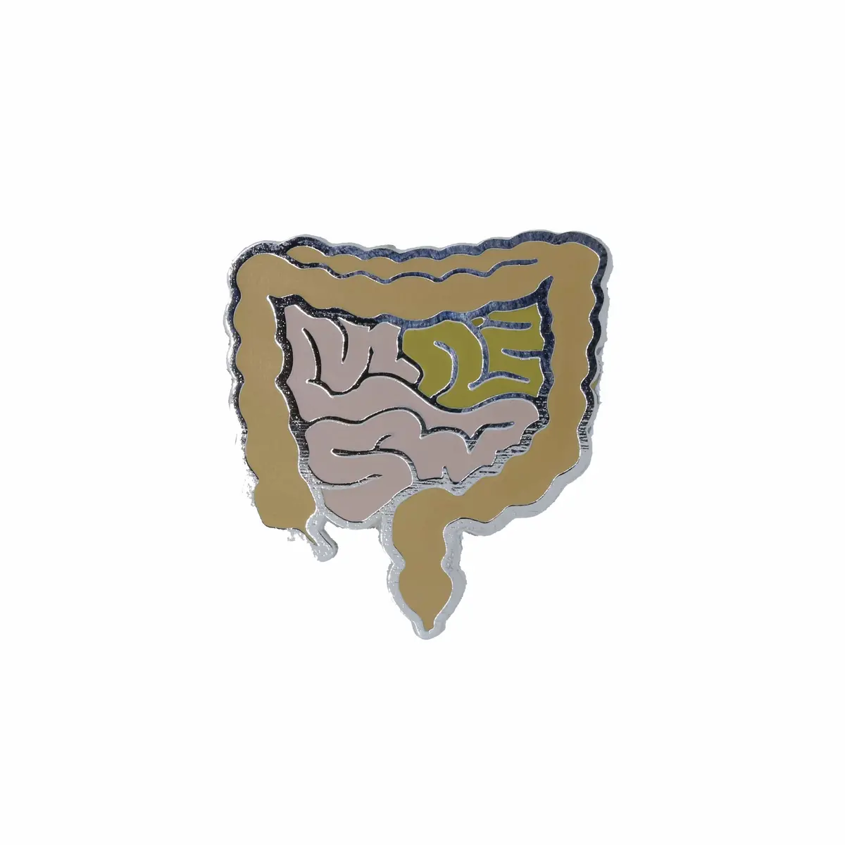 Intestines Enamel Pin 1