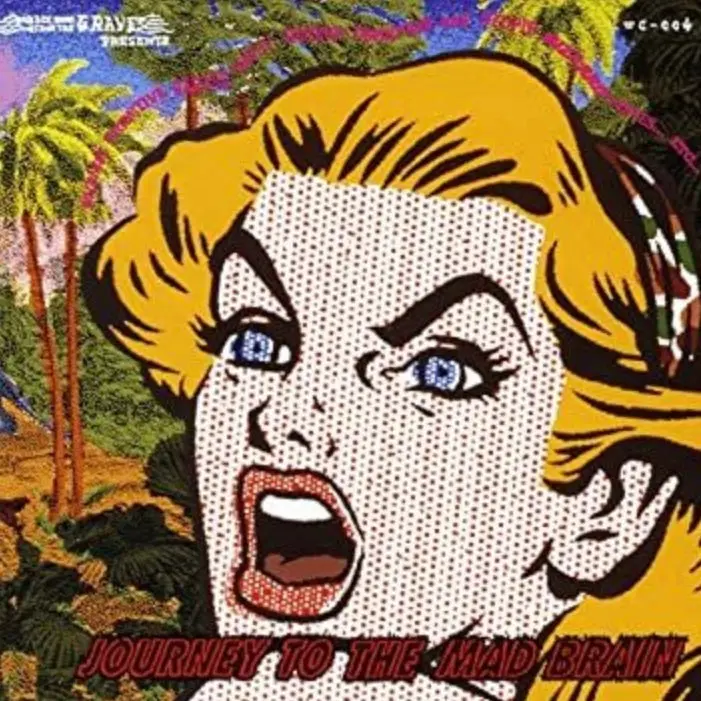 Journey To The Mad Brain / V.A. (Cd) 1