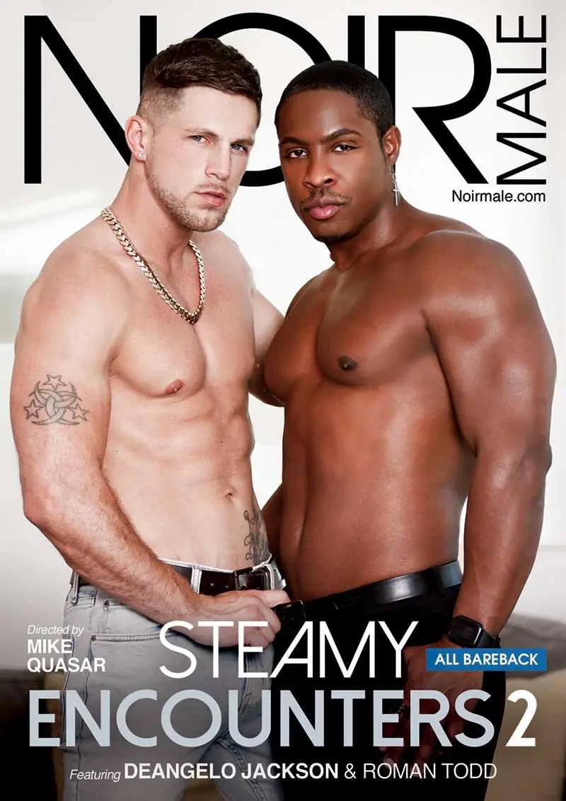 Steamy Encounters 2 1