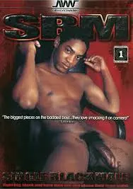 Sbm: Single Black Male 1