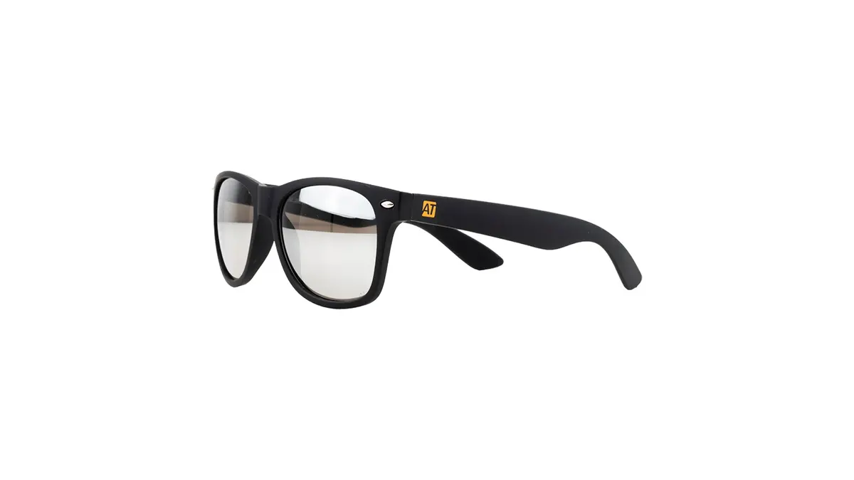 Classic Sunglasses 1