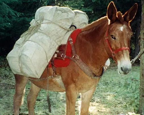 Grommeted Pack Manti Tarp 1