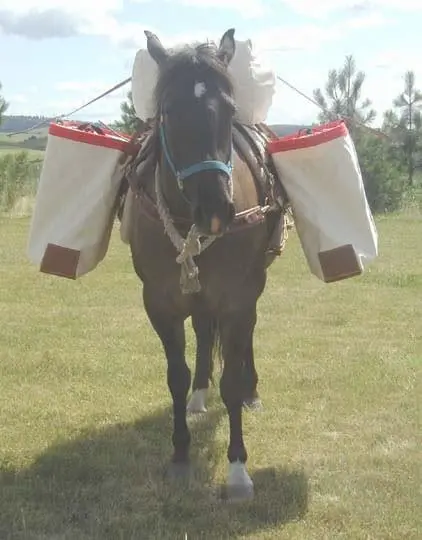 Donkey Or Llama Utah Panniers 1