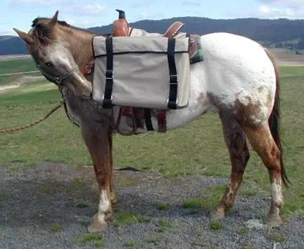 Pro Saddle Panniers 1
