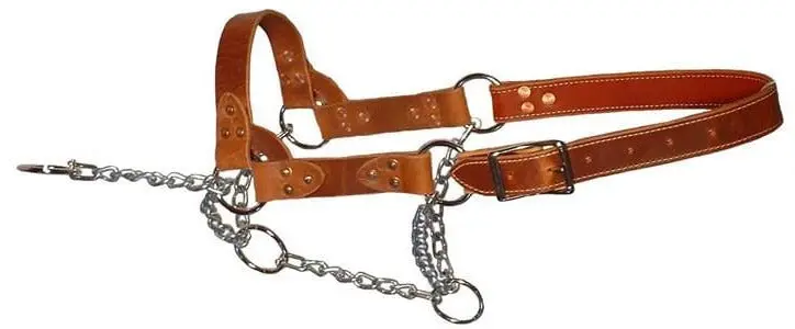 Heavy Duty Chain Mule Halter 1