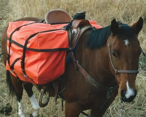 Vinyl Saddle Panniers 1