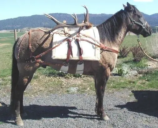 Selway Sawbuck Pack Saddle - Standard Or Small Size 1