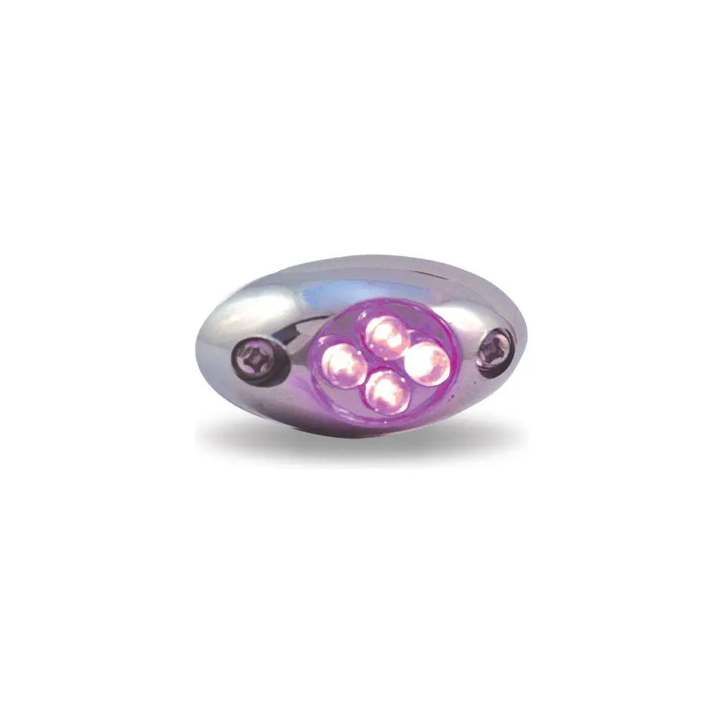 Purple Courtesy Led (4 Diodes) 1