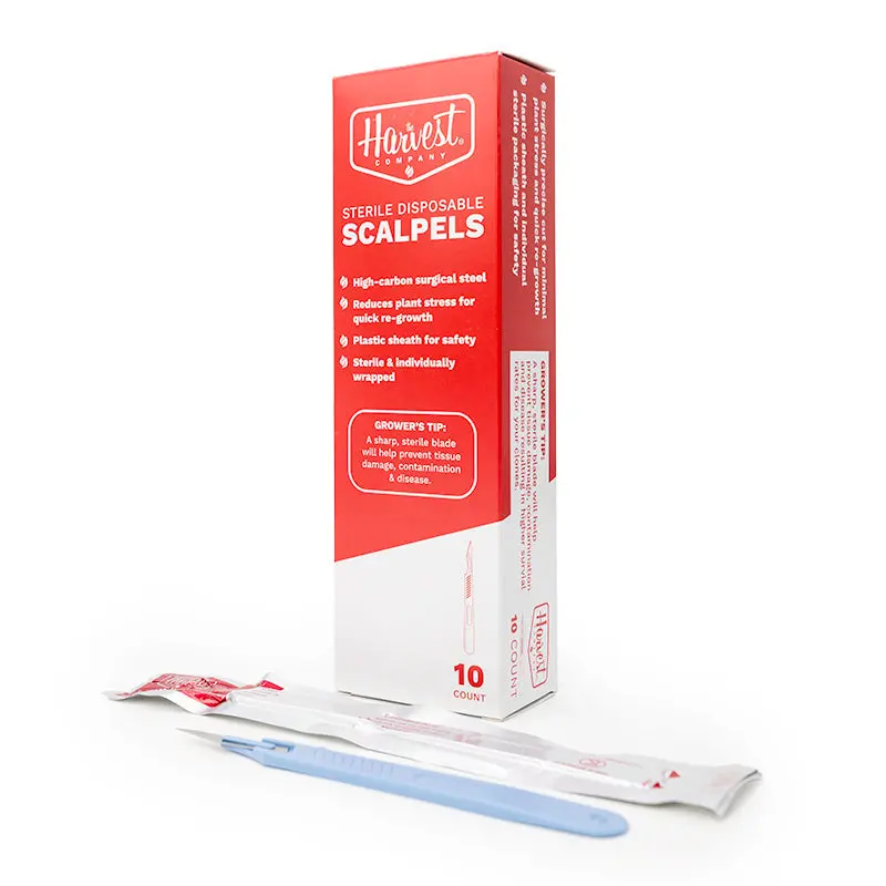 The Harvest Company Sterile Disposable Scalpel - No. 11 (10Pcs/Box) 1