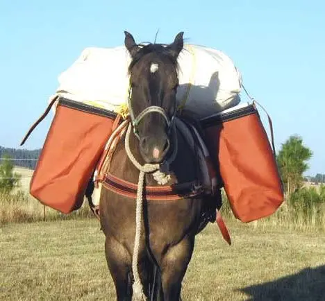 Utah Horse Panniers - Canvas 1