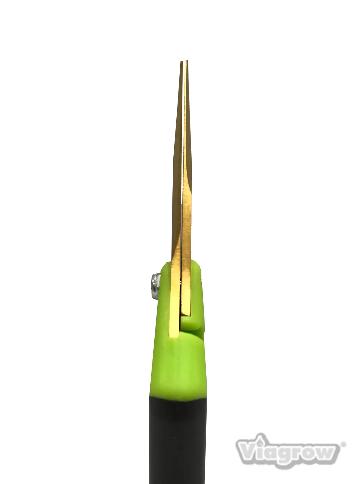 Viagrow Non Soft Grip Micro-Tip Pruning Snip Anti Resin Stick Shears, Straight 1