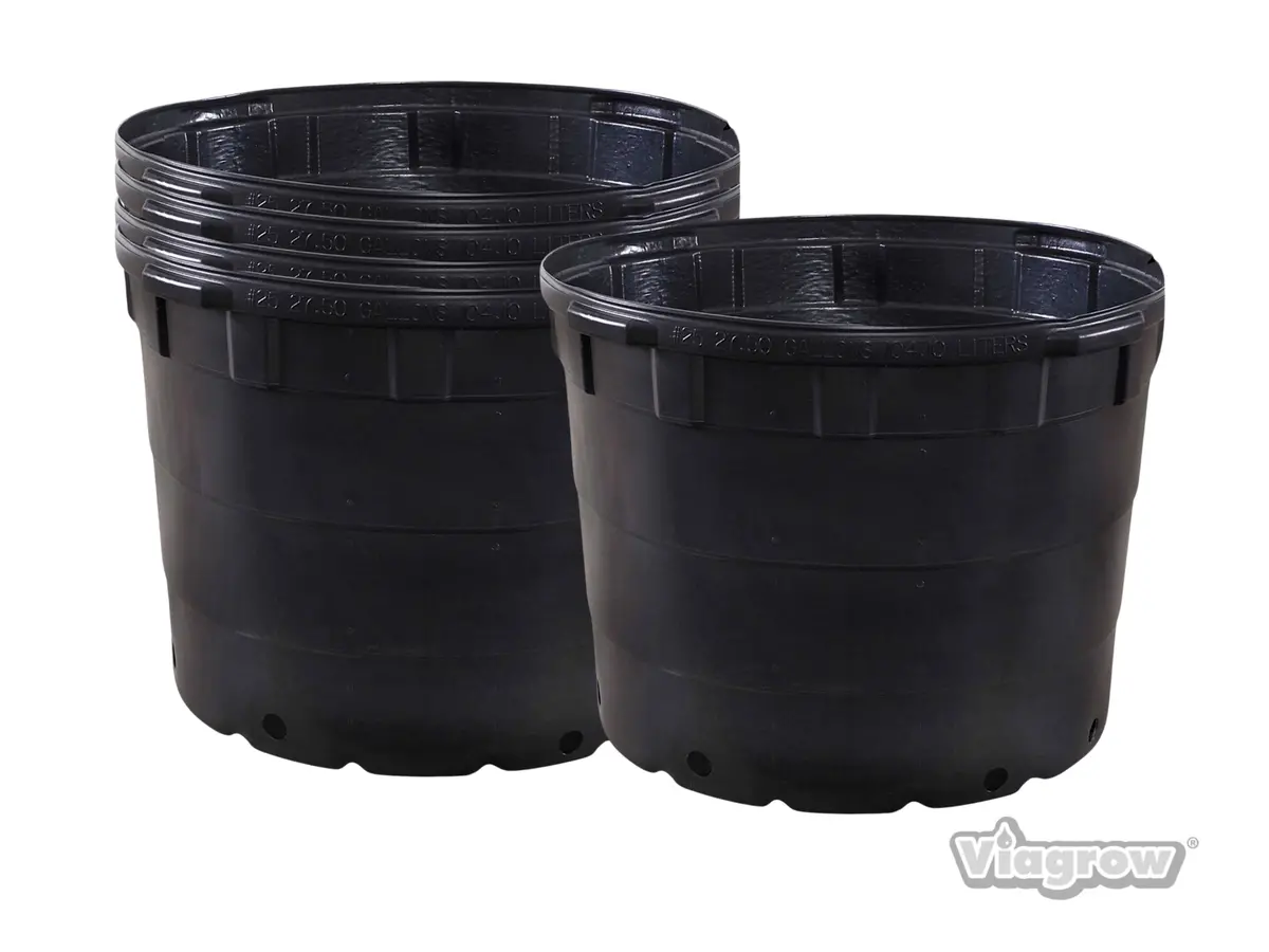 The Harvest Company Viagrow 25 Gal. 24 In. L X 24 In. W X 18 In. H Black Indoor/Outdoor Plastic Nursery Pot (Packs) 1