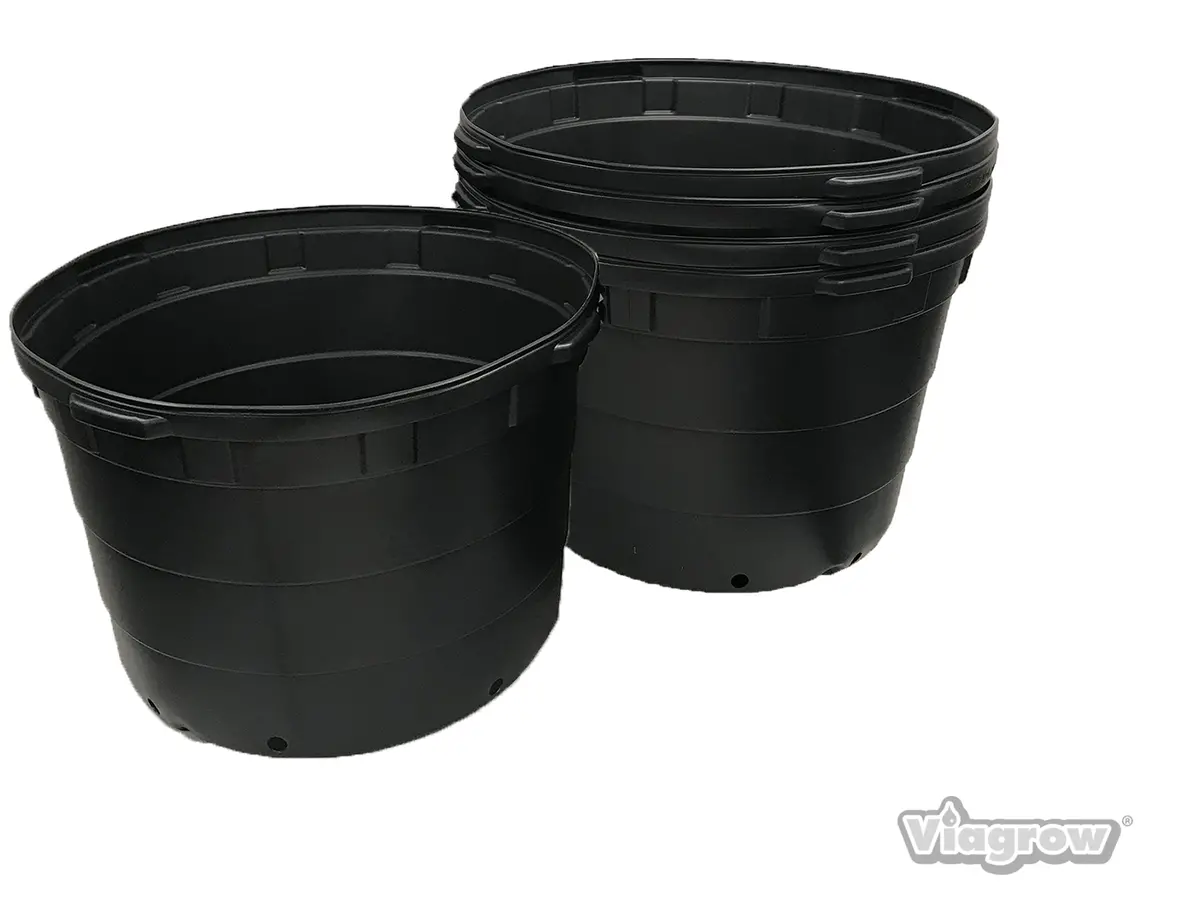 The Harvest Company Viagrow 50 Gal. 31.5 In. L X 31.5 In. W X 21 In. H Black Indoor/Outdoor Plastic Nursery Pot (Packs) 1