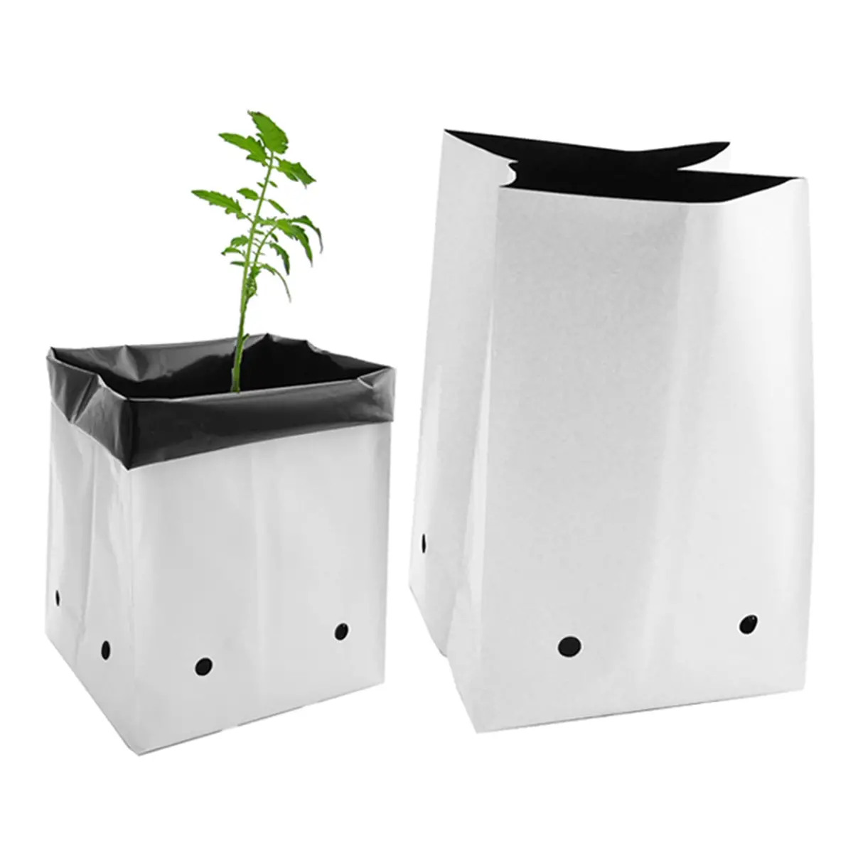 The Harvest Company Viagrow Plastic Grow Bags, Reversible Black/White Virgin Pp With Drainage Holes, Indoor/Outdoor Planting (Packs) 1