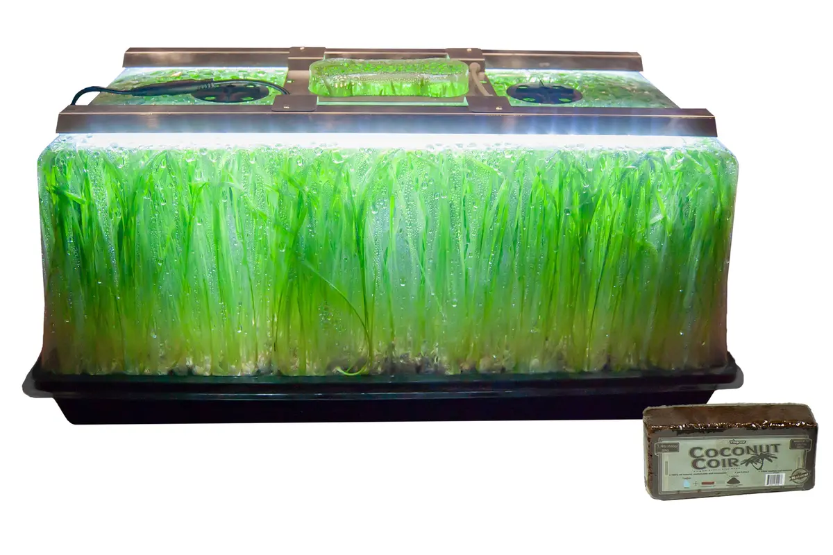 The Harvest Company Viagrow Seedling Station Kit W/ Led Grow Light, Propagation Dome 4X Durable Propagation Tray & Coir (V1020sl-Kit-Wc) 1
