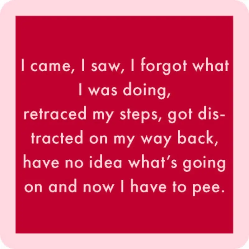 Coaster: I Came, I Saw 1