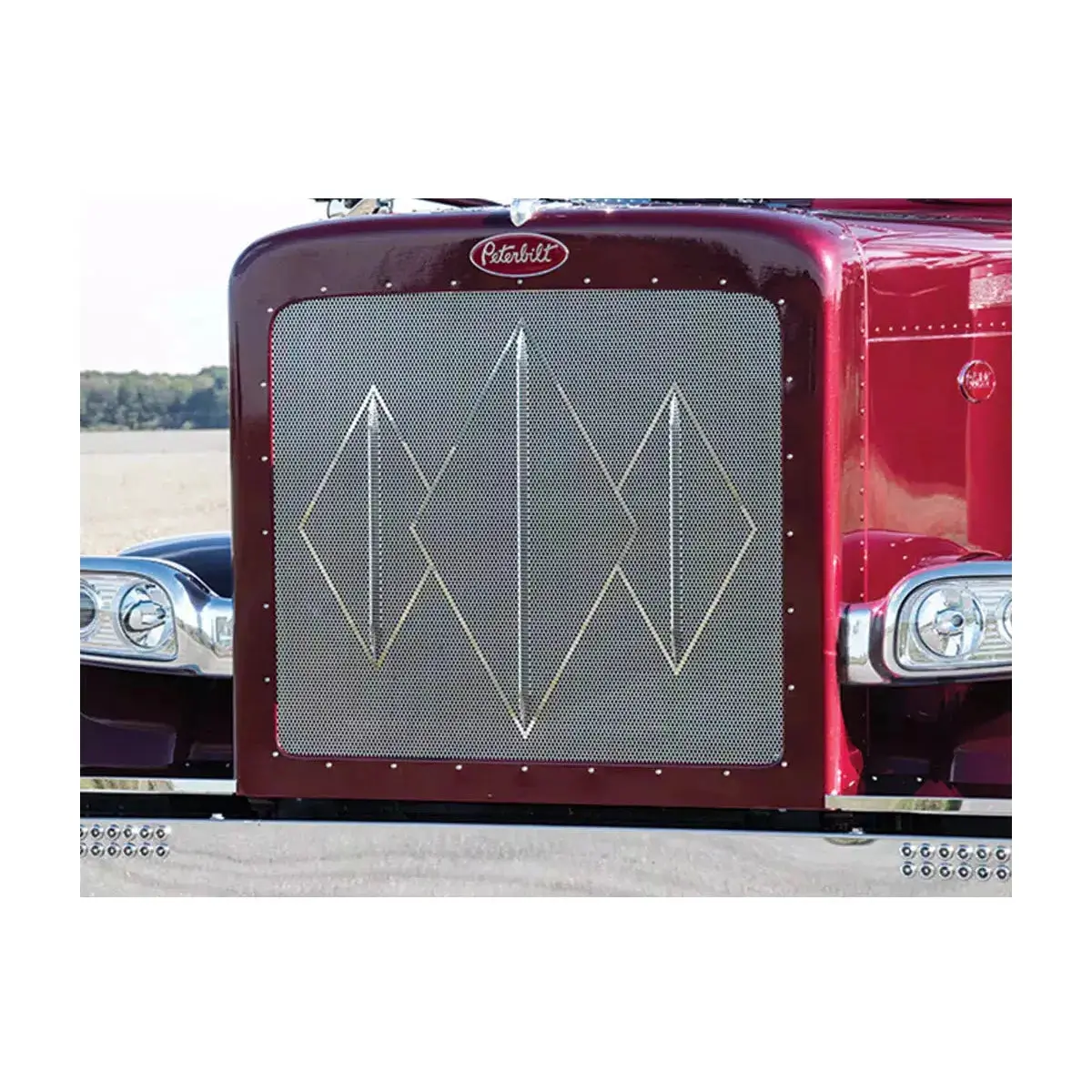 Rw-35139-23-3Dgb 3 Diamond Pattern Punched Grille Insert W/ Small 1/4" Circle Holes And Bars 1