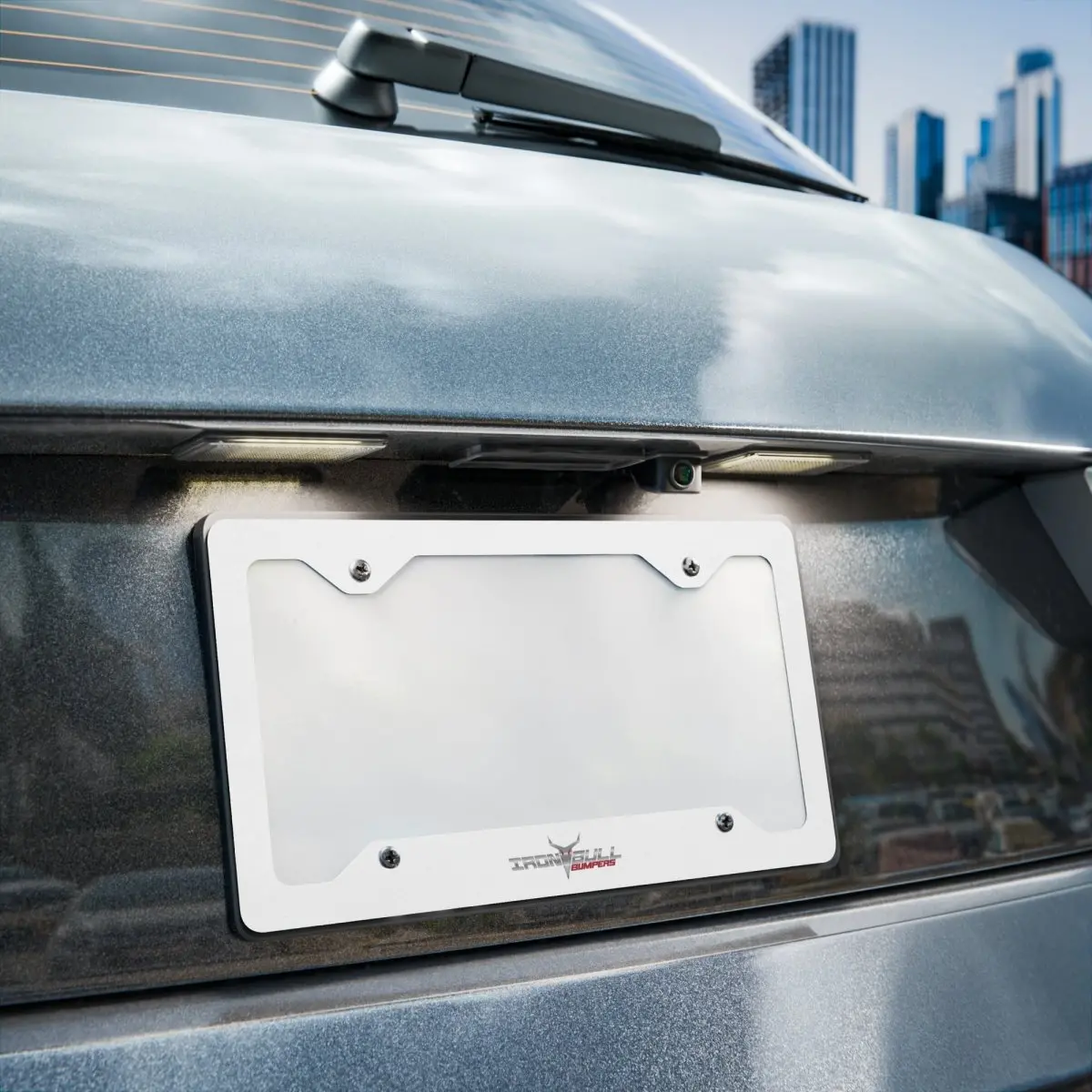 Metal License Plate Frame 1