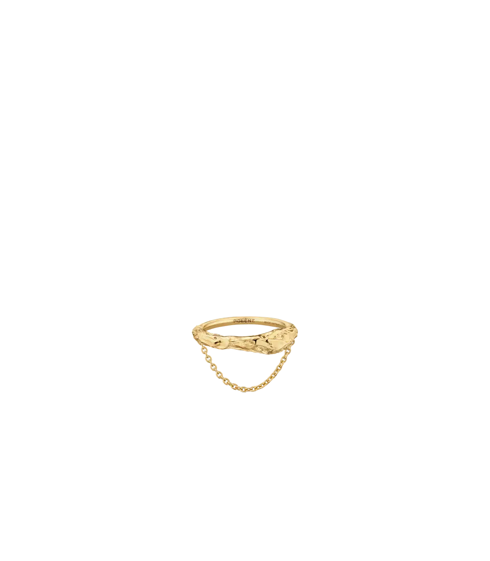 Eroz Chain Ring - 24 Carat Gold-Gilded Edition 1