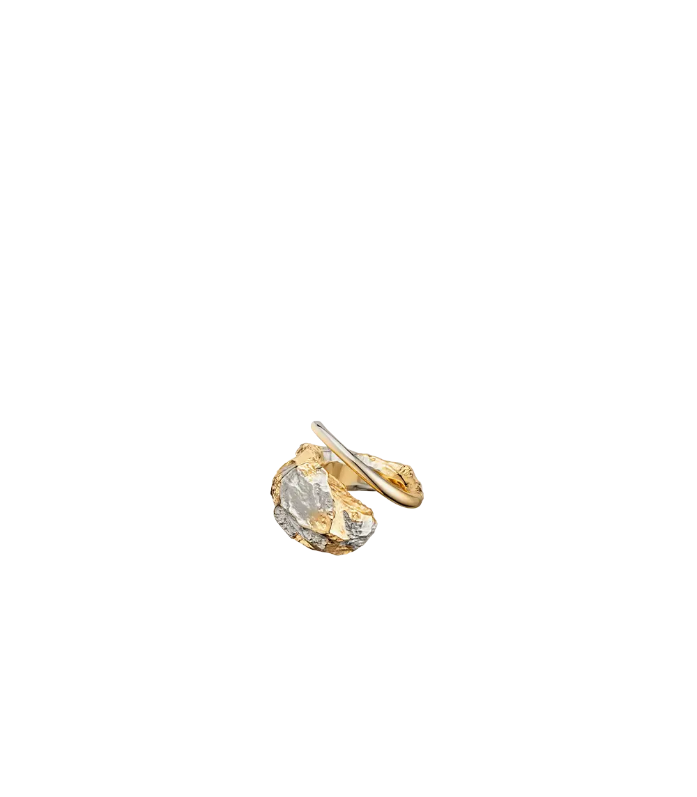 Eroz Ring - Duo Palladium With 24 Carat Gold Plating 1