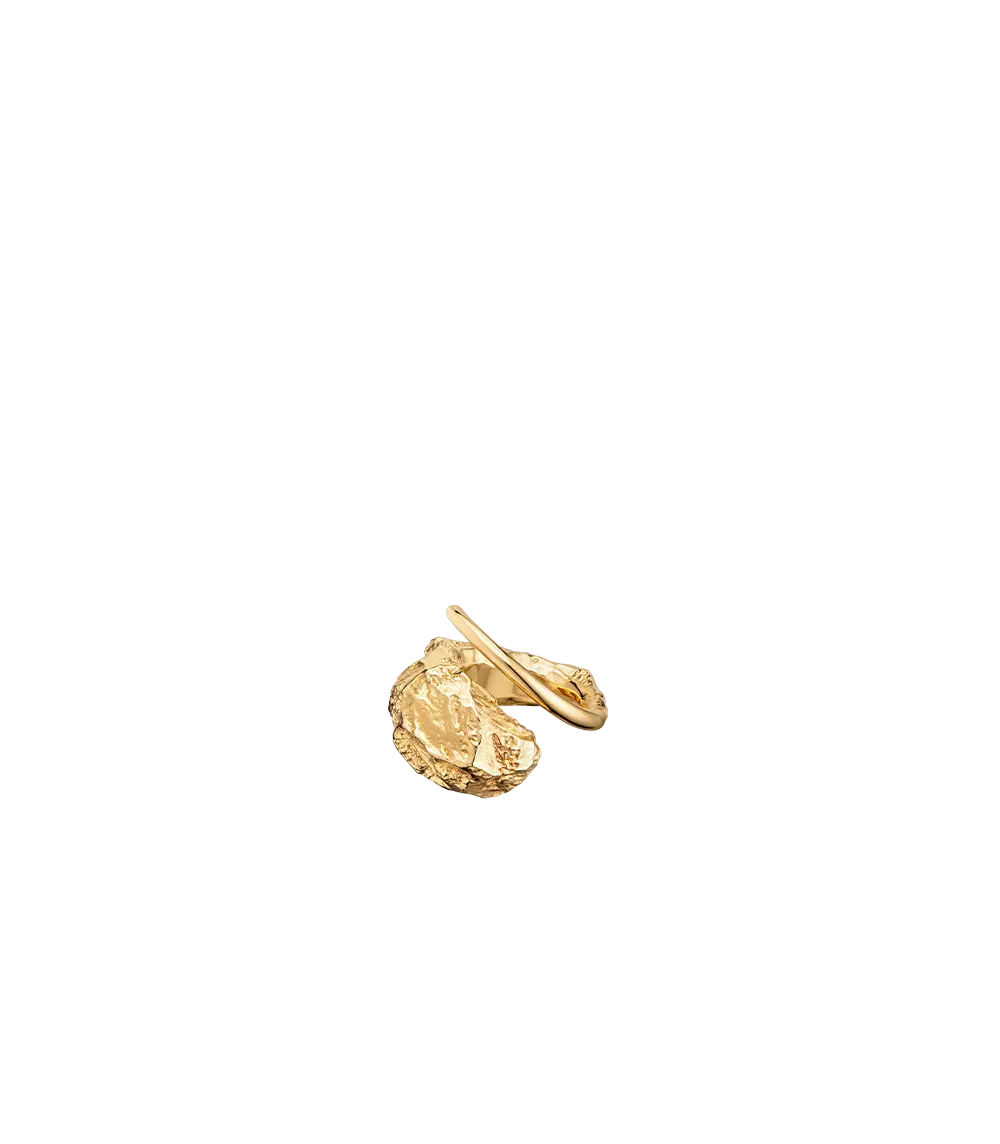 Eroz Ring - 24 Carat Gold Gilded 1