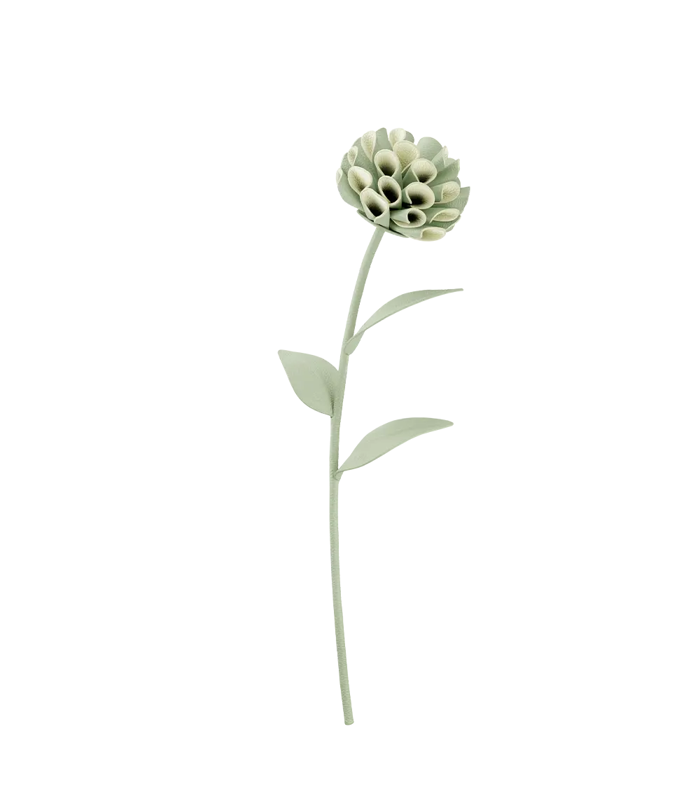 Dalium Flower - Fresh Almond 1
