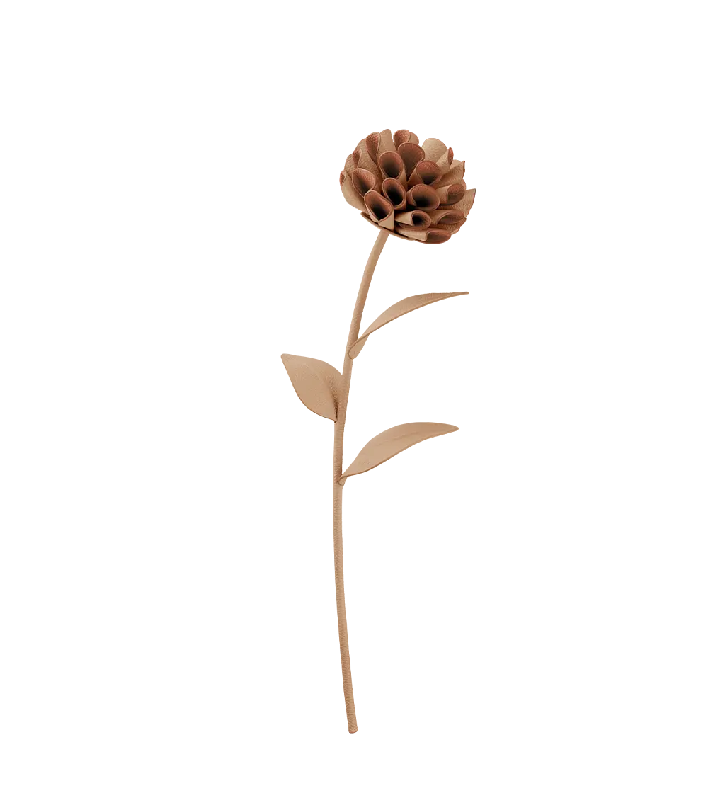 Dalium Flower - Beige 1
