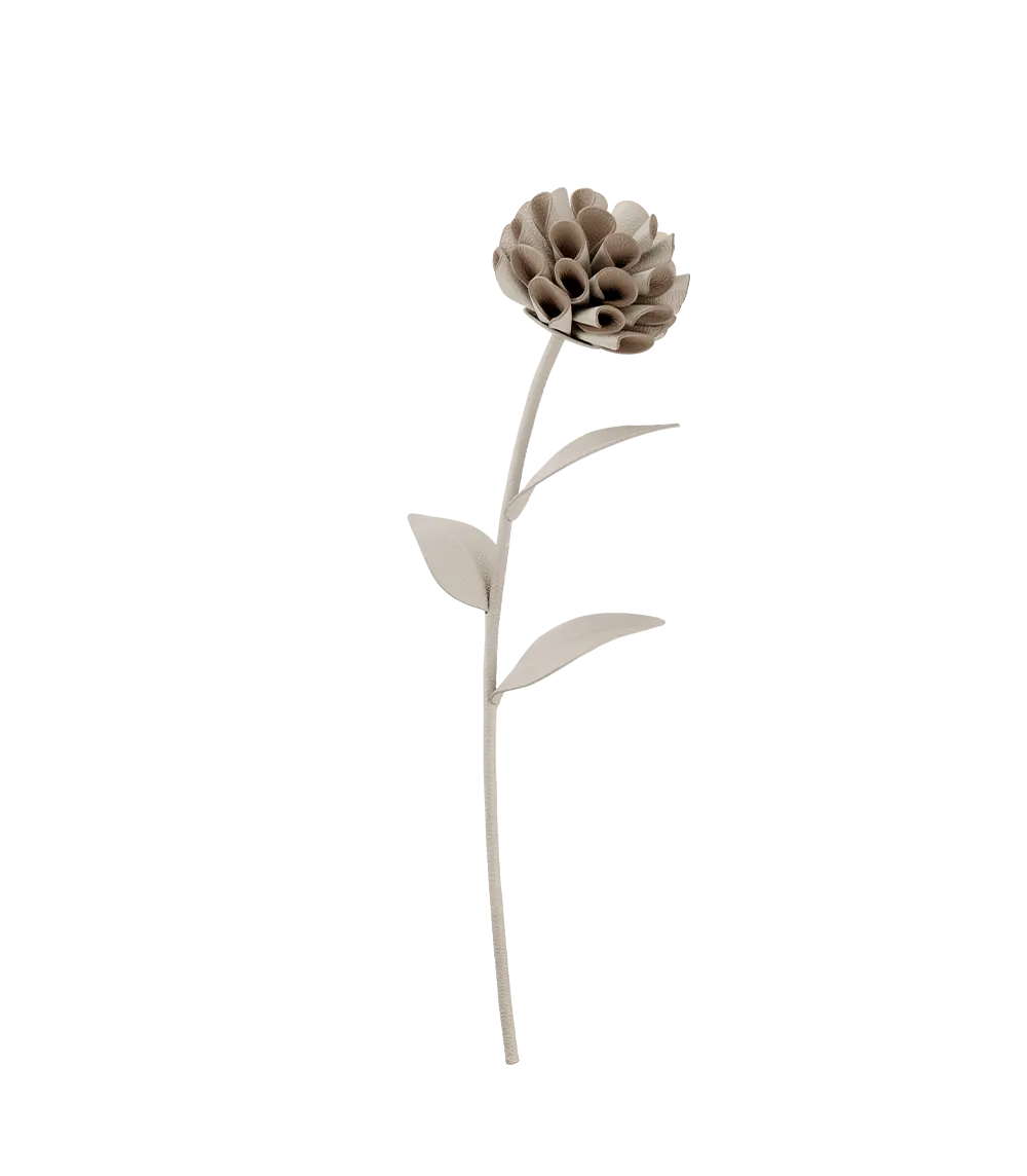 Dalium Flower - Chalk 1