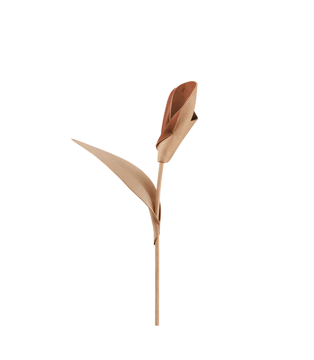 Pili Flower - Beige 1