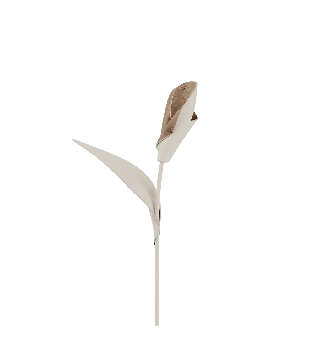 Pili Flower - Chalk 1