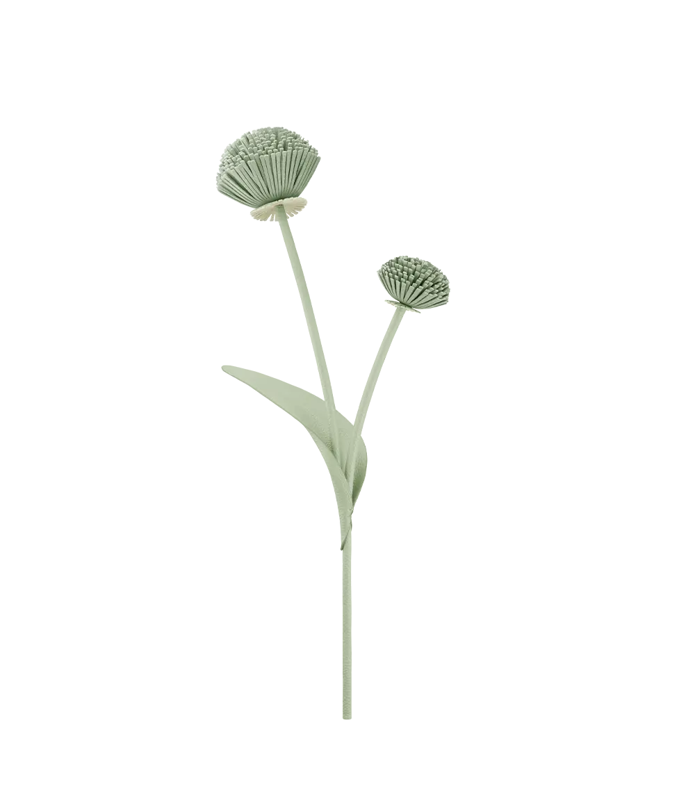 Tul Flower - Fresh Almond 1