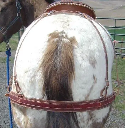 Riding Saddle Rear Breeching 1