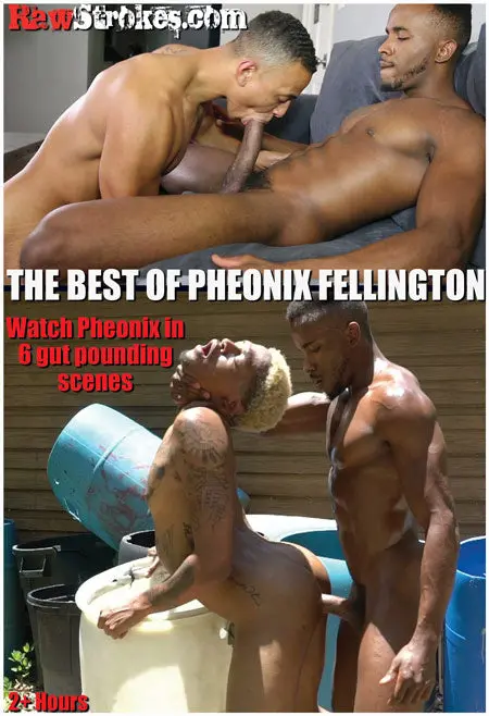 Best Of Phoenix Fellington 1