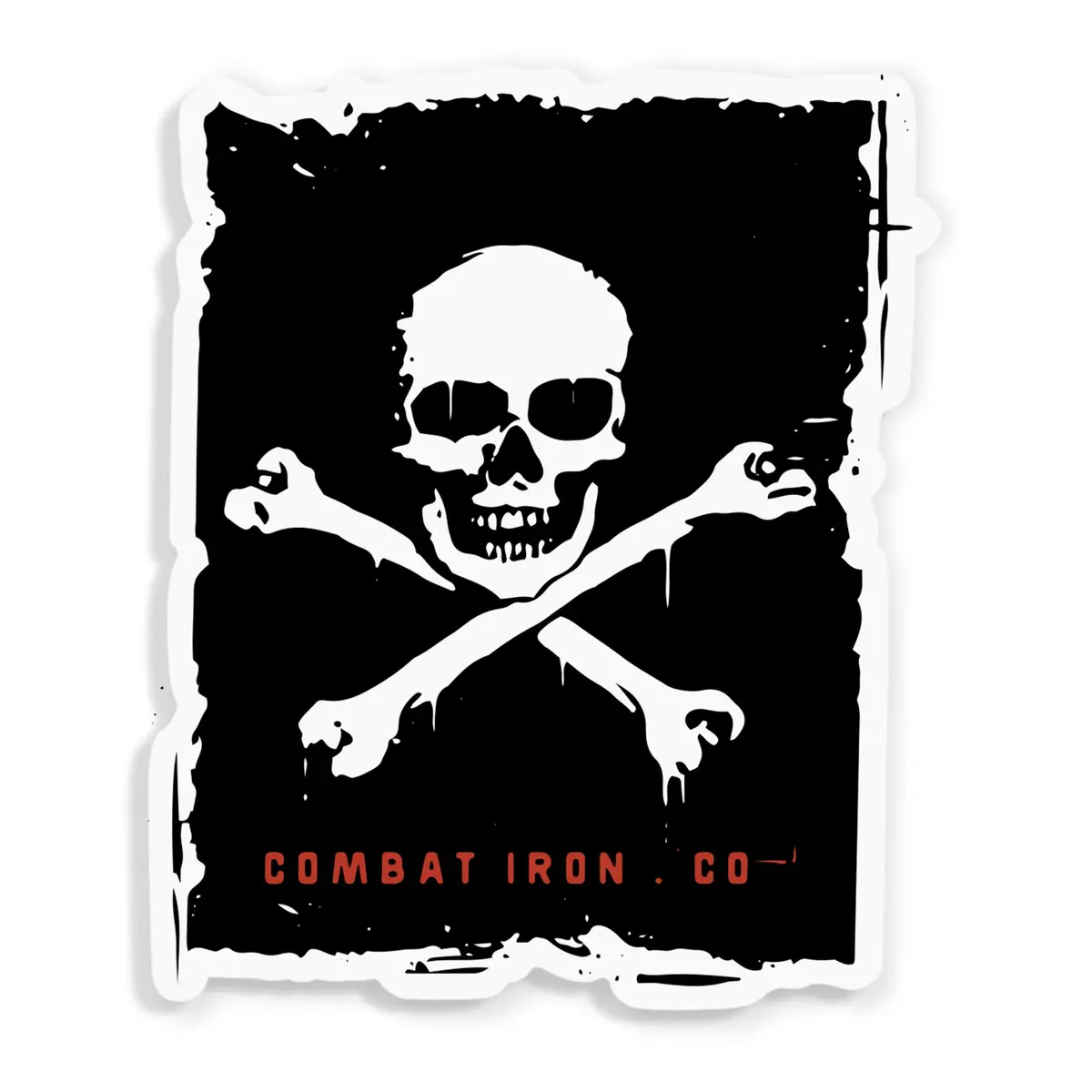 Pirate Skull Decal 1